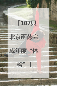 107只北京雨燕完成年度“体检”