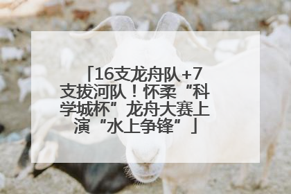 16支龙舟队+7支拔河队！怀柔“科学城杯”龙舟大赛上演“水上争锋”
