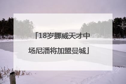 18岁挪威天才中场尼潘将加盟曼城