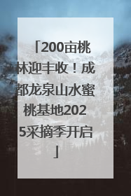 200亩桃林迎丰收！成都龙泉山水蜜桃基地2025采摘季开启