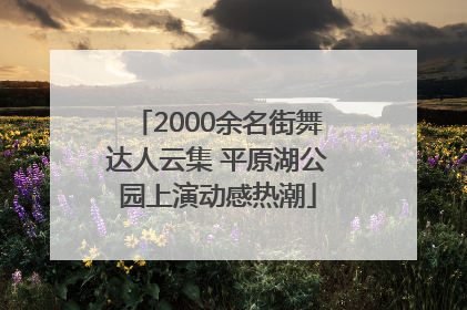 2000余名街舞达人云集 平原湖公园上演动感热潮