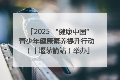 2025 “健康中国” 青少年健康素养提升行动（十堰茅箭站）举办