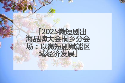 2025微短剧出海品牌大会桐乡分会场：以微短剧赋能区域经济发展