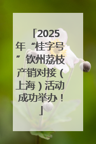 2025年“桂字号”钦州荔枝产销对接（上海）活动成功举办！