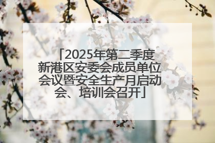 2025年第二季度新港区安委会成员单位会议暨安全生产月启动会、培训会召开