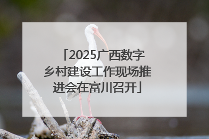 2025广西数字乡村建设工作现场推进会在富川召开