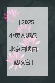 2025小黄人趣跑北京园博园站收官