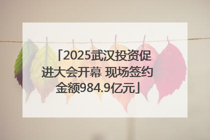 2025武汉投资促进大会开幕 现场签约金额984.9亿元