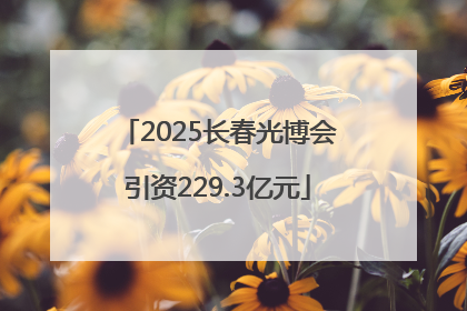 2025长春光博会引资229.3亿元