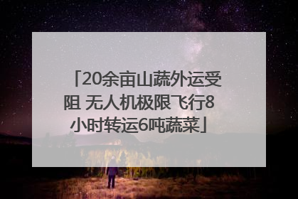 20余亩山蔬外运受阻 无人机极限飞行8小时转运6吨蔬菜