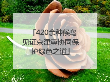 420余种候鸟见证京津冀协同保护绿色之道