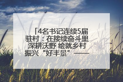4名书记连续5届驻村：在接续奋斗里深耕沃野 绘就乡村振兴“好丰景”——浦发银行南京分行助力脱贫攻坚、帮促乡村振兴记事（二）
