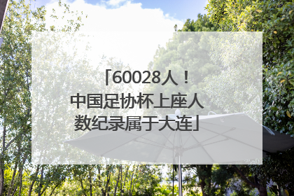 60028人！中国足协杯上座人数纪录属于大连