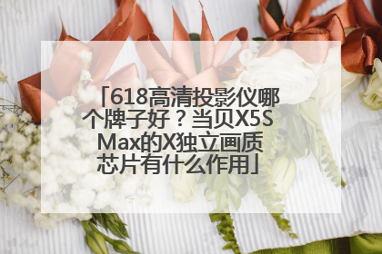 618高清投影仪哪个牌子好？当贝X5S Max的X独立画质芯片有什么作用