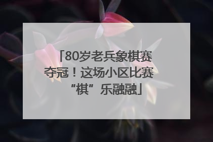 80岁老兵象棋赛夺冠！这场小区比赛“棋”乐融融