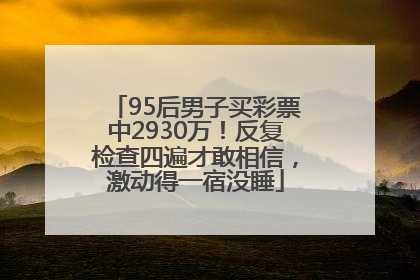 95后男子买彩票中2930万！反复检查四遍才敢相信，激动得一宿没睡