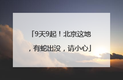 9天9起！北京这地，有蛇出没，请小心