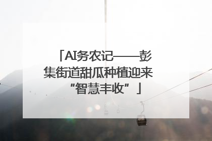 AI务农记——彭集街道甜瓜种植迎来“智慧丰收”