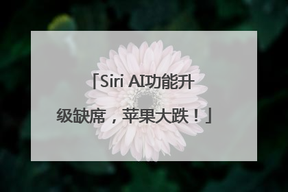 Siri AI功能升级缺席，苹果大跌！